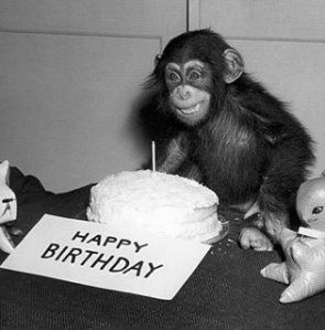 Happy Birthday Lucy, Monkey Pictures, Monkey Birthday, Happy Birthday Funny, Today Is My Birthday, Funny Happy Birthday, Monkeys Funny, Ex Machina, Vintage Birthday