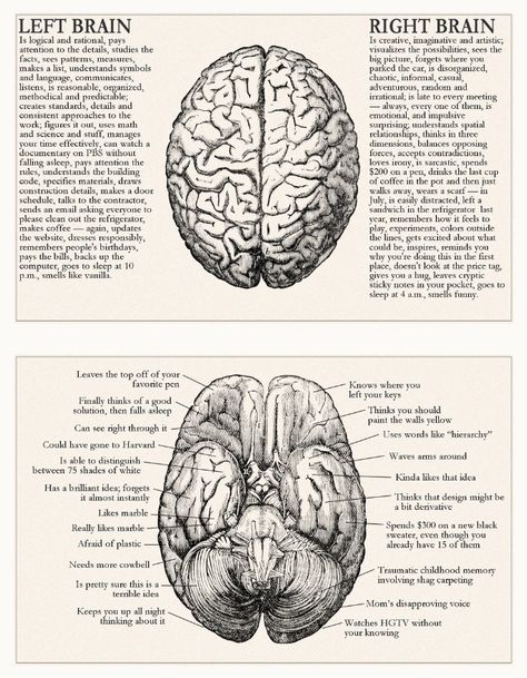 Psychology Wallpaper, Science Vintage, Psychology Posters, Dream Psychology, Medical Drawings, Psychology Notes, Medical School Life, Psychology Studies, Forensic Psychology