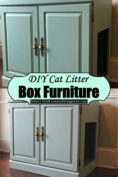 Diy Litter Box Enclosure Litter Robot, Cat Litter Box Ideas Hidden Hallway, Cat Litter Box For Small Spaces, Cat Litter Under Counter, Built In Kitty Litter Cabinet, Cat Litter Box Tv Stand, Discrete Litter Box Diy, Catbox Cabinet Ideas, Wood Cat Litter Box Cover Diy