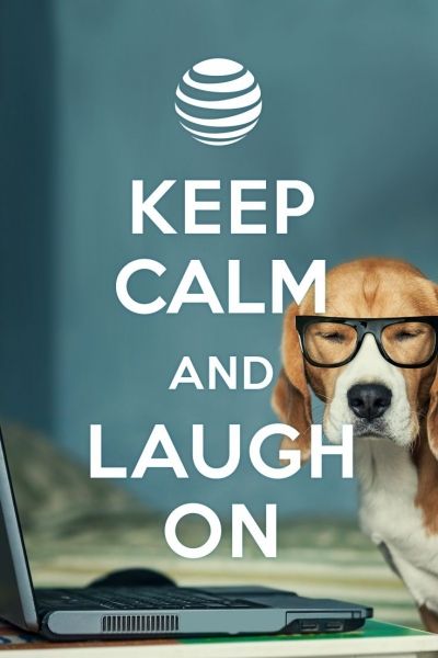 How to Create a KEEP CALM Poster + Free Template! Dog Funny Quotes, Create Poster, Calm Poster, Bacon Art, Paul Walker Quotes, Keep Calm Signs, Free Dating Apps, Paul Walker Pictures, Keep Calm Posters