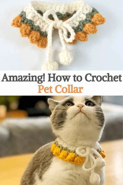 Cute Easy Crochet Projects, Cat Collar Pattern, Crochet Pet Collar, Crochet Cat Collar, Dog Crochet Pattern, Crochet Pet, Chat Crochet, Crochet Decor, Crochet Sewing