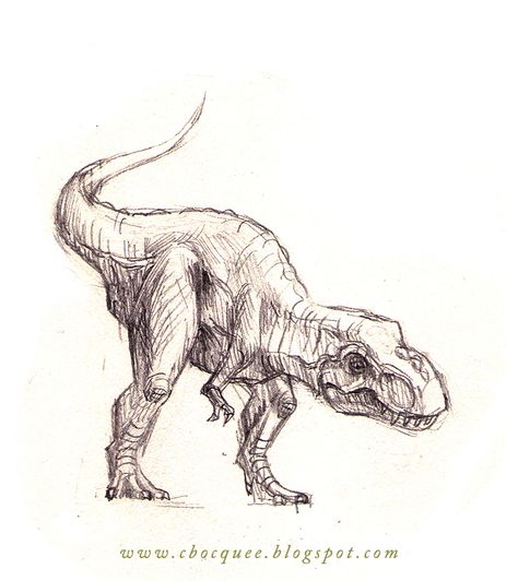 Tyrannosaurus Rex pencil sketch Dino Drawing, Dinosaur Sketch, Basic Art, Dinosaur Tattoos, Art For Beginners, Dinosaur Drawing, Dinosaur Illustration, Draw Animals, Paleo Art