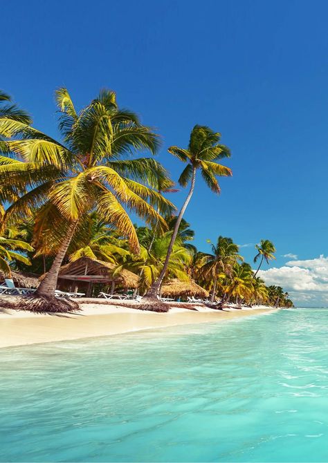 Punta Cana, Bavaro Beach Punta Cana, Best Island Vacation, Punta Cana Beach, Dominican Republic Travel, Tropical Beaches, Beach Paradise, Most Beautiful Beaches, Island Vacation