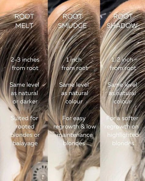 Balayage, Blonde For Fine Hair, Cosmetology Color Theory, Shadow Root Formula Shades Eq, Foilage Technique Hair, Shadow Root Melt, Highlight Placement Diagram, Hair Foiling Techniques, Toning Formulas