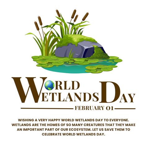 Wishing a very Happy World Wetlands Day to everyone. Wetlands are the homes of so many creatures that they make an important part of our ecosystem. Let us save them to celebrate World Wetlands Day. World Wetlands Day, Anime Quotes Inspirational, Creative Ads, Anime Quotes, Ecosystem, Very Happy, Quotes Inspirational, Quote Of The Day, Cool Photos