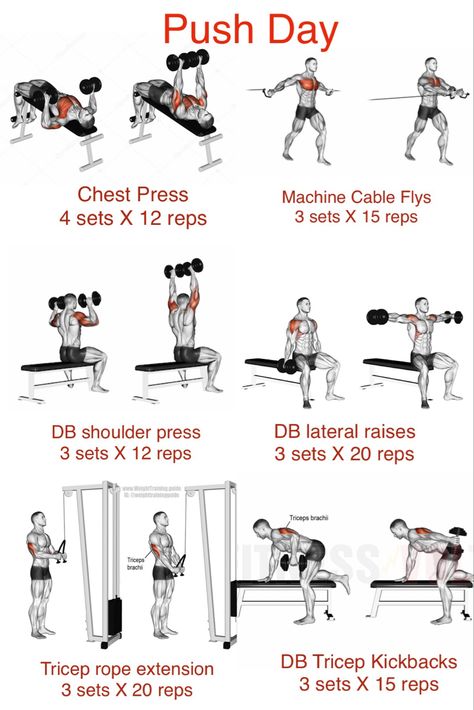 Push Day Exercises, Push Pull Workout Routine, Push Pull Legs Workout, Push Day Workout, Pull Day Workout, Arm Day Workout, Push Pull Workout, Workout Gym Routine, Gym Workout Guide