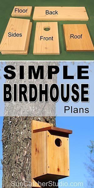 Simple Birdhouse, Birdhouse Plans, Bird House Plans Free, Bird Feeder Plans, Homemade Bird Houses, Bird Houses Ideas Diy, Bluebird House, Bird House Feeder, Bird House Plans