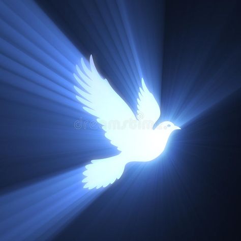 Dove bird peaceful light flare. Flying pigeon shining with bright glowing flares #Sponsored , #AD, #paid, #peaceful, #Dove, #bird, #light Doves Aesthetic, Peace Pigeon, Freedom Graphic, Bird Light, Flying Pigeon, Dove Flying, Graphic Background, Sketchbook Inspo, God Is Amazing