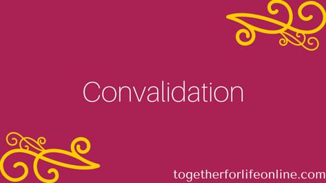 A Convalidation Ceremony in the Catholic Church | Together for Life Online Catholic Marriage, Church Dresses For Women, Wedding Vows Renewal, Wedding Vow, Ceremony Dresses, Catholic Wedding, Marrying My Best Friend, Church Dresses, Church Wedding