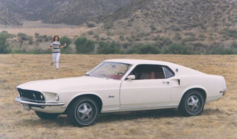 Lana Del Rey – White Mustang Lyrics | Genius Lyrics Coupe, Lana Del Rey, 1969 Mustang Fastback, Mustang Tattoo, White Mustang, Mustang 1969, Ford Mustang 1969, Vintage Mustang, Ford Mustang Fastback