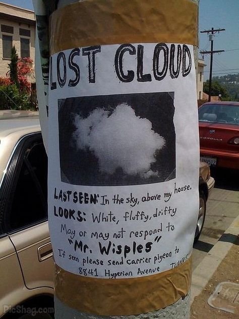 The Funniest Street Fliers - BuzzFeed Mobile Humour, Funny Signs, Tumblr, Missing Posters, Lost Poster, Commercial Ads, Welcome To Night Vale, Imaginary Friend, Losing A Dog