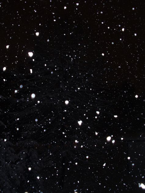 Snow Black Screen, Falling Snow Wallpaper, Snow Falling Background, Snow Night, Snow Effect, Hd Background Download, Snow Drops, Snow Falling, New Photo Style