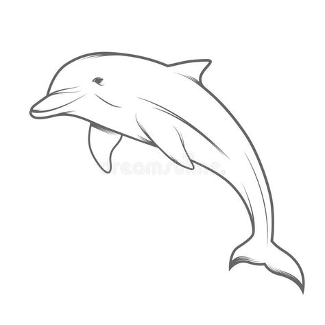 Dolphin illustration stock vector. Illustration of mammals ... Dolphin Tattoo Drawing, Dolphin Art Drawings, Fantasy Line Drawing, Dolphin Line Drawing, Drawing Of Dolphin, Dolphin Line Art, Dolphin Illustration, Mammals Activities, Dolphin Drawing
