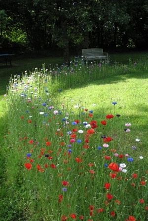 Meadow Garden, Potager Garden, Cottage Garden Design, Wildflower Garden, Garden Pathway, Garden Borders, Garden Seating, Gorgeous Gardens, Garden Cottage