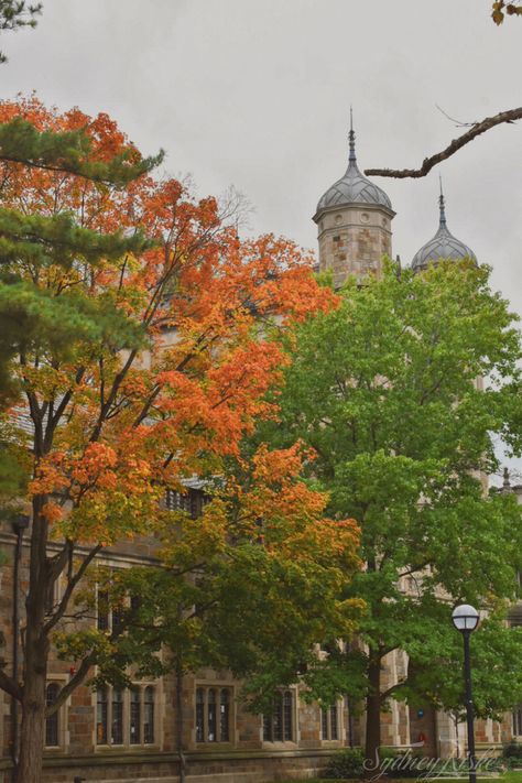 Nature, Michigan Autumn, Campus Photography, Future Manifestation, Nature Photography Wallpaper, Maize And Blue, Dream College, Dream School, Notre Dame University