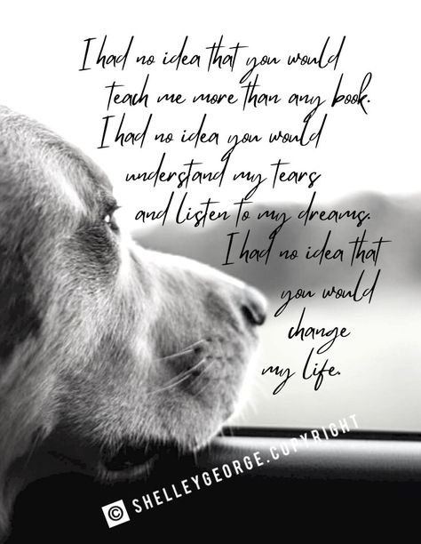 Dog Celebration, Old Dog Quotes, Dog Heaven Quotes, Dog Loss Gift, Miss My Dog, Dog Poems, Printable Dog, Dog Lover Quotes, Dog Quotes Love