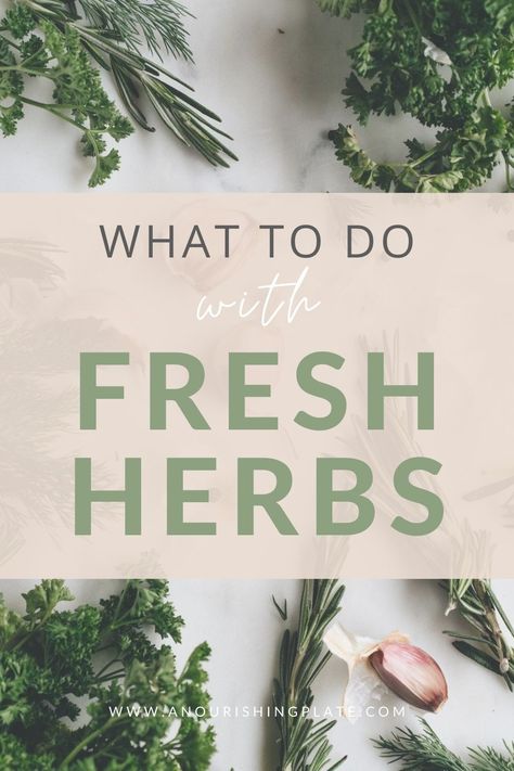 Using Fresh Herbs In Cooking, How To Use Herbs In Cooking, How To Use Fresh Herbs, Things To Do With Fresh Herbs, What To Do With Fresh Herbs, Storing Fresh Herbs, Cooking With Herbs Recipes, How To Store Fresh Herbs, Cleaning Herbs