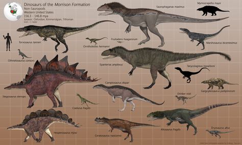 Morrison Formation, Dinosaur Sketch, Prehistoric Wildlife, Ancient Animals, Paleo Art, Extinct Animals, Jurassic Park World, Dinosaur Art, Prehistoric Creatures