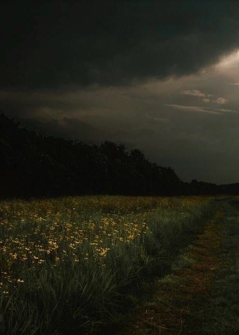 Flower Field Dark Aesthetic, Embercore Aesthetic, Dark Dream Aesthetic, Escaping Aesthetic, Isolated Homes, Ominous Aesthetic, Angelina Core, Big Gangsta, Cinematic Stills