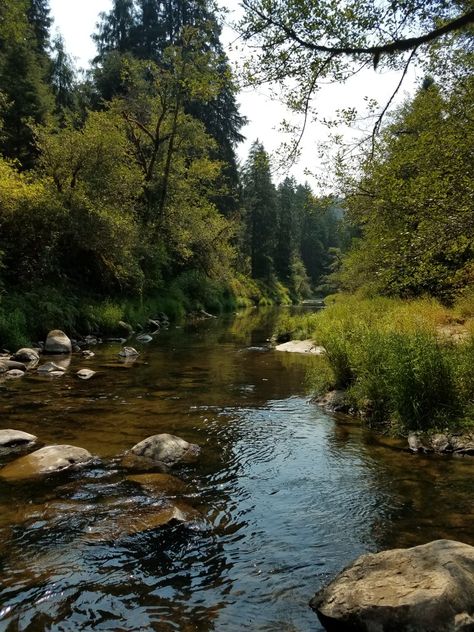 Nature, Creek Aesthetic Nature, Rivercore Aesthetic, Outdoor Asethic, Creek Aesthetic, Wilderness Aesthetic, Not Aesthetic, Outdoor Aesthetic, Nature Aesthetic