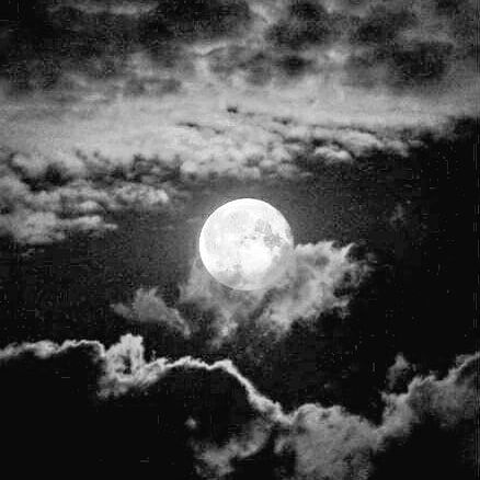 🖤 . . . #black #white #grey #aesthetic #moon #sky #photo #photography #theme #instagood Pinguin Illustration, Black And White Photo Wall, Black And White Picture Wall, Gray Aesthetic, White Theme, Black And White Photo, Black And White Aesthetic, Aesthetic Colors, Aesthetic Themes