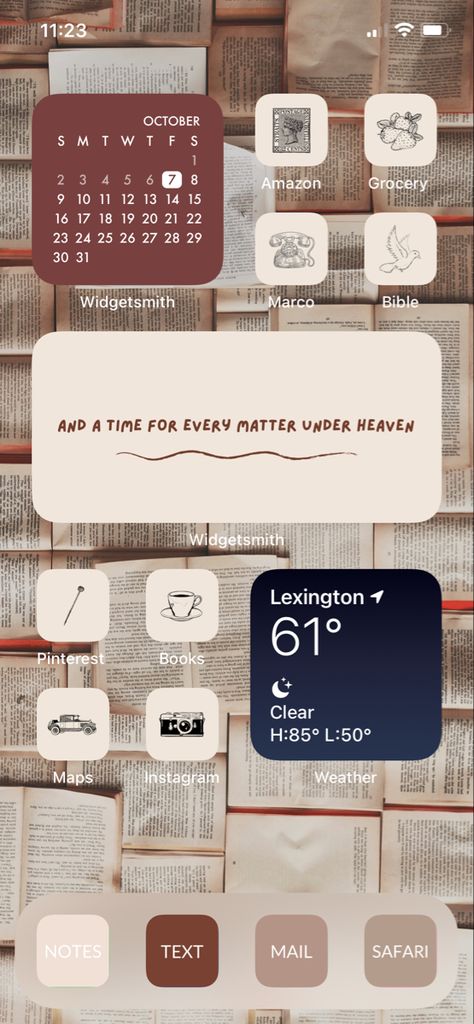 Vintage Ipad Homescreen, Book Lover Homescreen, Book Themed Widgets, Cozy Apps For Iphone, Books Homescreen, Book Phone Theme, Apple Widgets Aesthetic, Bookish Homescreen, Book Homescreen