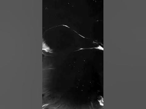 Nature, Lyrics Effect Video, White Screen Template Video, Black And White Effect Video, White Template Video, White Screen Video Effect, Black Png Video, Ink Splash Overlay Video For Edit, Ink Overlay Video