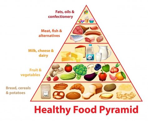 Healthy food pyramid chart Free Vector | Free Vector #Freepik #freevector #food #cartoon #fish #fruit Essen, Piramid Makanan, Healthy Food Pyramid, Food Triangle, Food Pyramid Kids, Healthy Eating Pyramid, Balanced Diet Chart, Healthy Food Chart, Education Cartoon