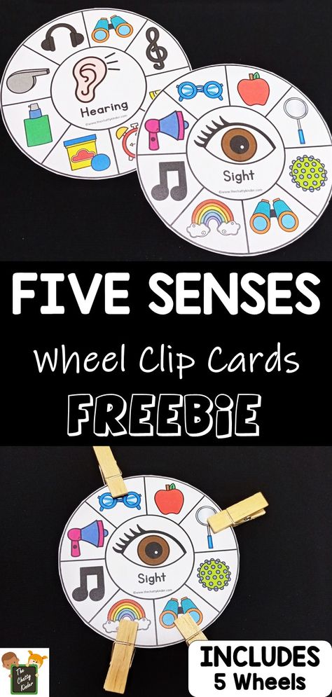 Five Senses Centers Kindergarten, Popcorn Five Senses Preschool, 5 Senses Games For Preschool, Five Senses Fine Motor Activities, 5 Senses Activities For Preschool, 5 Senses Literacy Activities Preschool, 5 Senses Centers Preschool, My Five Senses Activities For Preschool, 5 Senses Kindergarten Activities