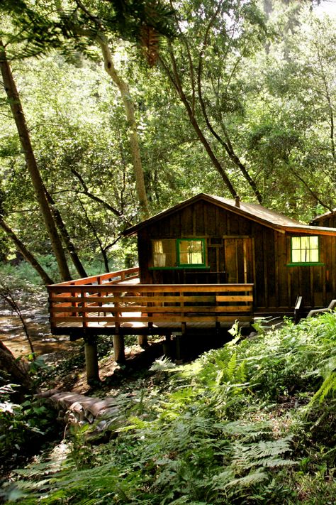 Remote Living Off The Grid, Living In The Woods Off Grid, Living Off The Grid Aesthetic, Off The Grid Living Aesthetic, Off Grid Houses, Living Off The Land Aesthetic, Off Grid Aesthetic, Off Grid Living Aesthetic, Off Grid Family