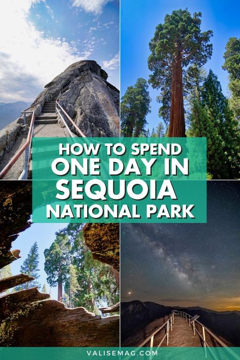 Sequoia National Park One Day Itinerary, Sequoia National Park To Yosemite, Sequoia Car Camping, Yosemite National Park California, Visiting Sequoia National Park, Sequoia National Park Road Trip, Things To Do In Sequoia National Park, Sequoia National Park Itinerary, Yosemeti National Park