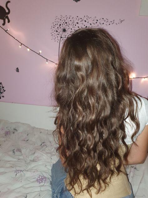 Soft Natural Waves, Light Wavy Hair Natural, Brown Wavy Hair Girl, Brown Wavy Hair With Highlights, Wavy Hair With Braids, Light Wavy Hair, Short Wavy Brown Hair, Light Brown Wavy Hair, Wavy Hair Ponytail