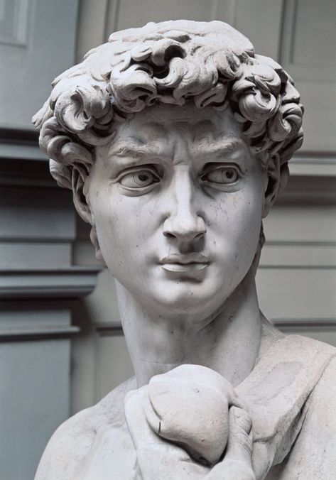 Have a Stendhal Syndrome moment (or a few) with this complete guide to museums and monuments in Florence. Michelangelo Sculpture, Istoria Artei, Ancient Greek Sculpture, Roman Statue, Classic Sculpture, Antique Sculpture, Greek Statues, Roman Sculpture, Greek Sculpture