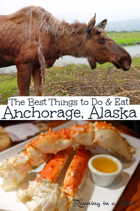 Things to Do in Ancorage Alaska USA and The Best Things to Eat! What to do in summer including places to see wildlife like Moose, downtown Anchorage, Alaska Wildlife Conservation Center and a gold mine. Also the most iconic restaaruants and must try food and breweries. A great travel guide to this bucket list destination. Gorgeous photography. / Running in a Skirt #ustravel #travelblogger #usa #travel #bucketlist #alaska #anchoragealaska Anchorage Alaska Aesthetic, Alaska Party, Alaskan Cruises, Alaska Train, Alaska Bucket List, Alaska Food, Bucket List Adventure, Alaska Cruises, Alaska Summer