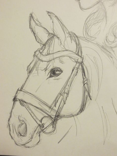 Drawing Ideas Easy Sketchbook, Easy Horse Sketch, Drawing Ideas Horses Easy, Horse Pictures Drawing, Difficult Drawing Ideas, Drawing Ideas Horse Sketch, Horse Drawings Pencil Easy, Horse Drawing Easy Simple, How To Sketch A Horse