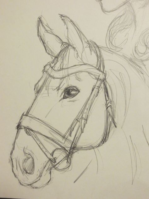 Easy Horse Sketch, Difficult Drawing Ideas, Cute Things To Draw And Color, Drawing Ideas Horses Easy, Drawing Ideas Horse Sketch, Horse Drawings Pencil Easy, Simple Drawing Ideas Animals, Horse Drawing Ideas Easy, Horse Pictures Drawing