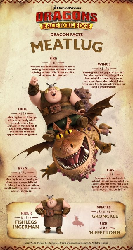 Httyd Dragons Species List, Httyd Poster, Dragon Facts, Dragons Riders Of Berk, Dragon Book, Dragon Birthday Parties, Dragon Names, Httyd Art, Dreamworks Dragons