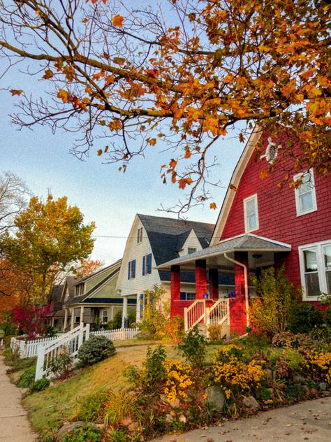 Michigan Fall Leave AnnArbor Cottage Houses Michigan Ann Arbor, Michigan Aesthetic, Michigan Houses, Fall Michigan, Michigan Fall, Michigan Summer, Ann Arbor Michigan, Dream Place, Funny Story