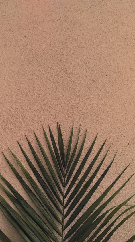 Nature, Peace Widget, Earthy Aesthetic Wallpaper, Wedding Background Wallpaper, Earthy Aesthetic, Abstract Wallpaper Design, Instagram Background, Diy Plant Stand, Portrait Photography Poses