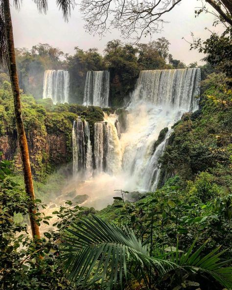 Book your Iguazu Falls tour with us. More information in our website Iguacu Falls Brazil, Waterfall Tattoos, Iguacu Falls, Travel To Argentina, Waterfall Tattoo, Autumn Tattoo, Iguazu Falls, Argentina Travel, Paradise On Earth