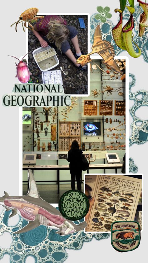 #zoology #zoologist #nature #biology #wildlifebiology #conservation #research #science #dreamlife #museum Nature, Study Habits, Wildlife Biology Aesthetic, Zoologist Career, Summer Themed Wallpaper, Wildlife Biologist, Conservation Biology, Some Jokes, Environmental Conservation