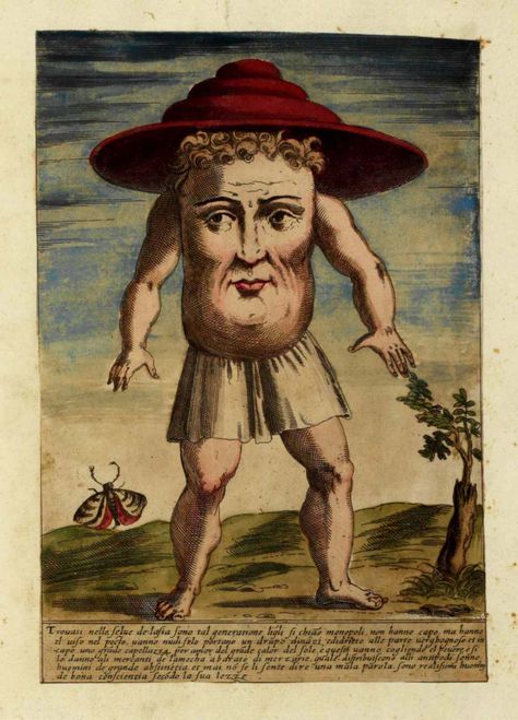 Ulisse Aldrovandi - 1595 Anomaly Art, Prester John, Medieval Animals, Medieval Drawings, Medieval Artwork, Classical Art Memes, Medieval Paintings, Bizarre Art, Zone 2