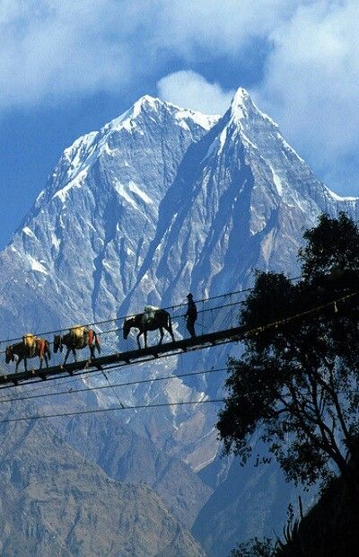 Pukhara Valley Nepal Tibet, Asia Travel, Himalayas Nepal, Monte Everest, Nepal Culture, Nepal Trekking, Nepal Travel, India Travel, Travel Aesthetic
