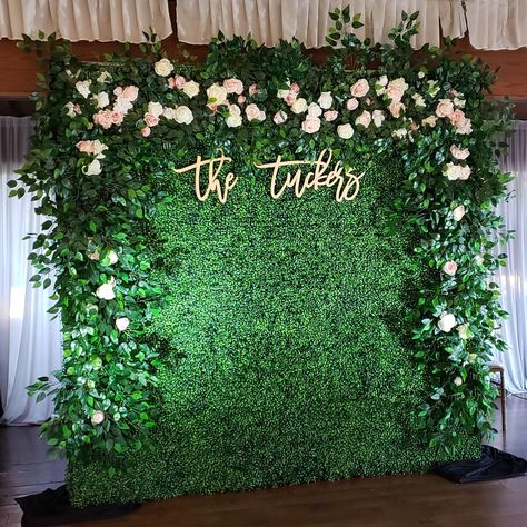 Sweethear Table, Wall Photo Backdrop, Boxwood Backdrop, Greenery Wall Decor, Hedge Wall, Wedding Photo Walls, Greenery Background, Prom Backdrops, Reception Backdrop