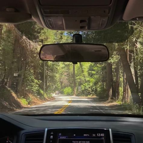 Nature, How Soon Is Now, Mountains Aesthetic, Haida Gwaii, Wildlife Biologist, You Drive Me Crazy, Love The Earth, Summer Road Trip, Window View