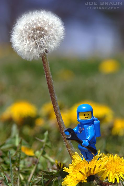 Lego Spaceman, Foto Macro, Lego Wallpaper, Lego Head, Lego Disney Princess, Photography Essentials, Miniature Photography, Lego Photo, Lego Creative