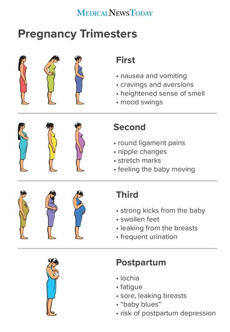 Pregnancy Trimester, Pregnancy Chart, Postpartum Care Kit, Pregnancy Timeline, Pregnancy Checklist, Planning Pregnancy, Pregnancy Info, Pregnancy Guide, Baby Life Hacks