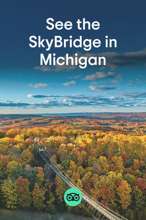Located at Boyne Mountain Resort, SkyBridge Michigan is the world’s longest timber-towered suspension bridge. It debuted in fall 2022 and stays open year-round for gorgeous views of the North McLouth terrain park and the Village at Disciples Ridge. After riding the historic Hemlock Scenic Chairlift to the top of Boyne Mountain, visitors can walk the entirety of the 1,200-foot-long bridge, then hit either of two paved trails. Skybridge Michigan, Boyne Mountain Resort, Boyne Mountain, Fall In Michigan, Swinging Bridge, Grandfather Mountain, Sacramento River, Pedestrian Bridge, Suspension Bridge