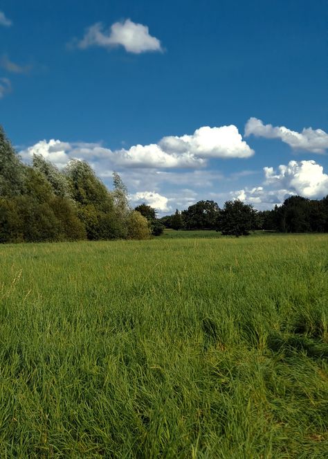 Nature, Pasture Aesthetic, Summer Clouds, Green Pastures, Green Meadow, Dream Farm, Play Pretend, Blue Sky Clouds, Heavenly Places