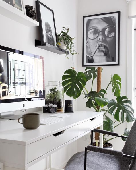 HAUS OF CRUZE on Instagram: “Monday’s with ol’ Myrtle the Monstera 🌿 We have to admit, Monstera Deliciosa would have to be in our top 3 plants we’re vibing on right now…” Scandi Furniture, Black And White Office, Inside Garden, Scandinavian Style Home, Interior Design Courses, Scandi Home, Interior Design Awards, Melbourne House, White Office